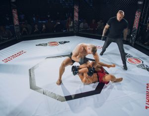 Bucal-mma